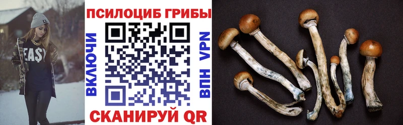 Псилоцибиновые грибы мицелий  Голицыно 